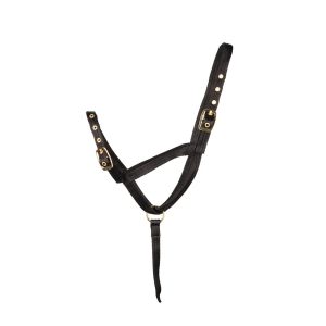 Hy Equestrian Foal Slip Halter