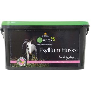 Lincoln Herbs Psyllium Husks