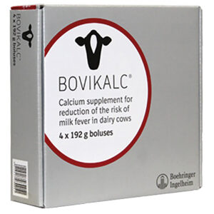 Boehringer Ingelheim Bovikalc - 4 Pack