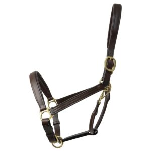 Coldstream Leather Padded Head Collar - Brown