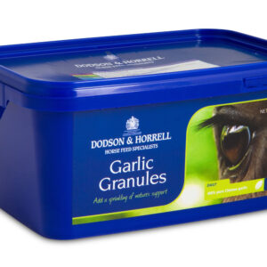 Dodson & Horrell Garlic Granules Everyday Essentials Dodson & Horrell Garlic Granules