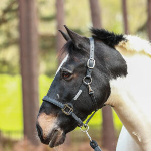 Hy Cotton Fly Screen Fly Wear