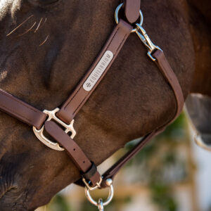 Equilibrium Stellar Headcollar - Brown