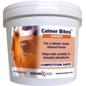 Equine Exceed Calmer Bites – Ginger Licks & Treats Equine Exceed Calmer Bites - Ginger
