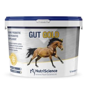 Equine Gut Gold