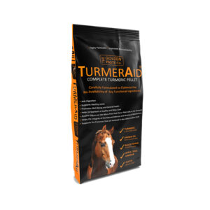 Golden Paste Company Turmeraid - 15 Kg