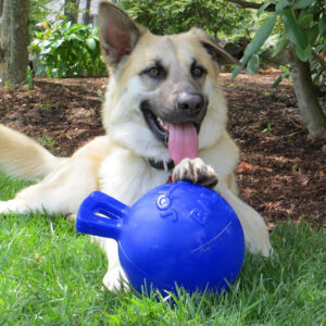 Jolly Pets Tug-N-Toss Blue - 4.5"