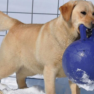 Jolly Pets Tug-N-Toss Purple - 4.5"