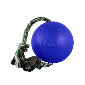 Jolly Pets Romp-N-Roll Blue - 4.5"