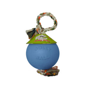 Jolly Pets Romp-N-Roll Blueberry - 4.5"