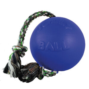 Jolly Pets Romp-N-Roll Blue - 8"