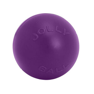 Jolly Pets Push-N-Play Purple - 10"