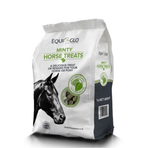 Mr. Johnsons Equiglo Minty Horse Treats