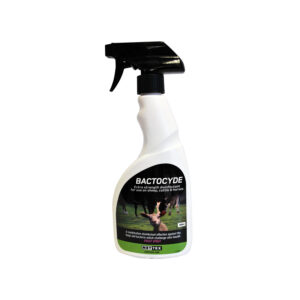 Nettex Bactocyde Antibacterial Sprayk, Pack of 6