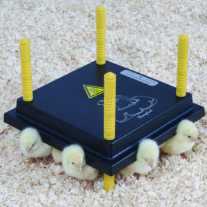 Osprey King Feeder Outdoor Poultry Feeders