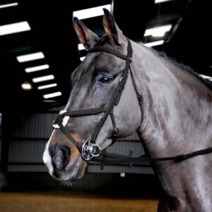 Whitaker Ready To Ride Mexican Bridle - Black