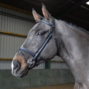 Whitaker Ready To Ride Snaffle Bridle - Black
